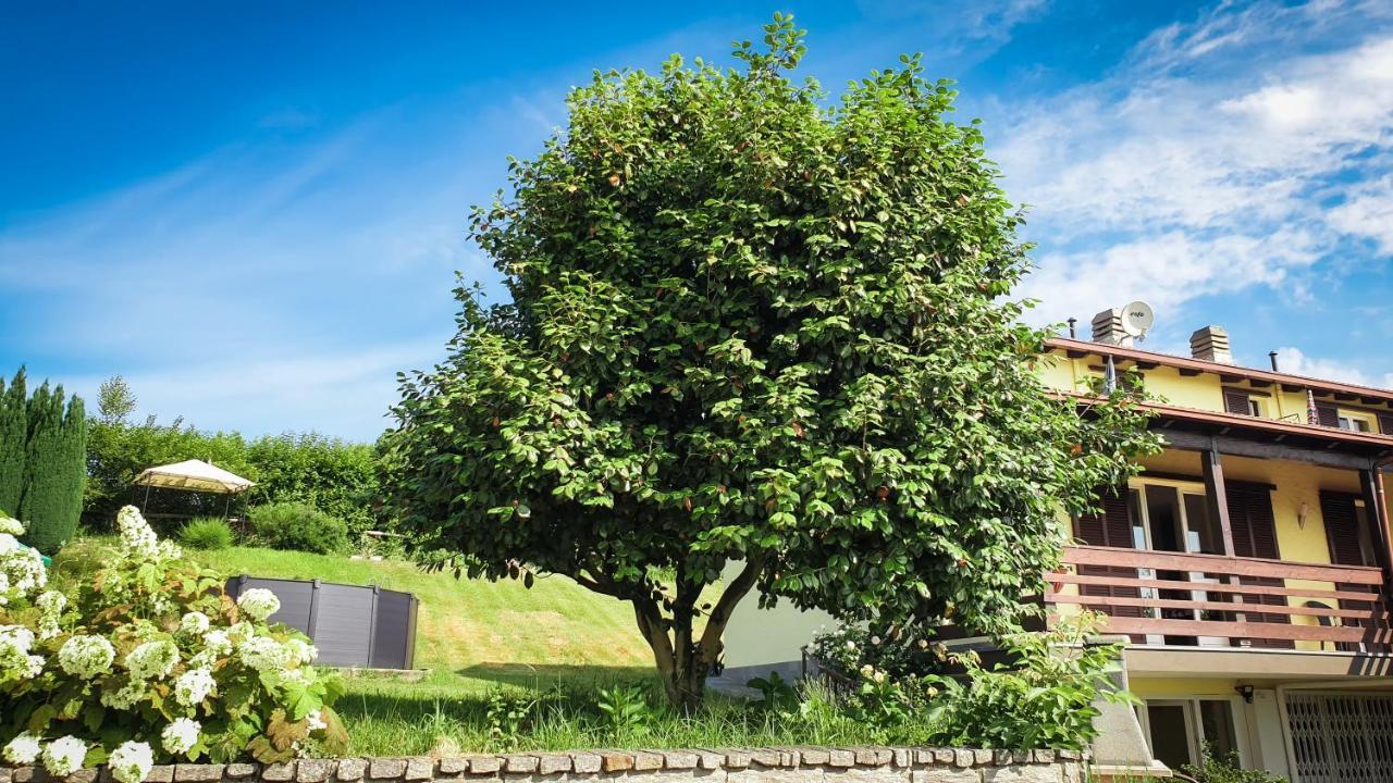 Gardenpark Soleil Villa Nebbiuno Eksteriør bilde